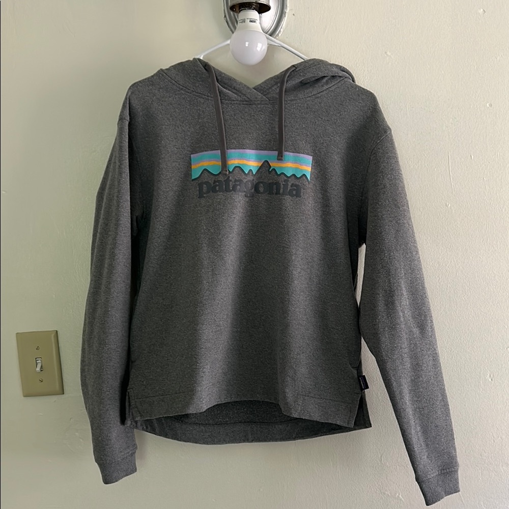 Patagonia Charcoal Hoodie with Logo Accent